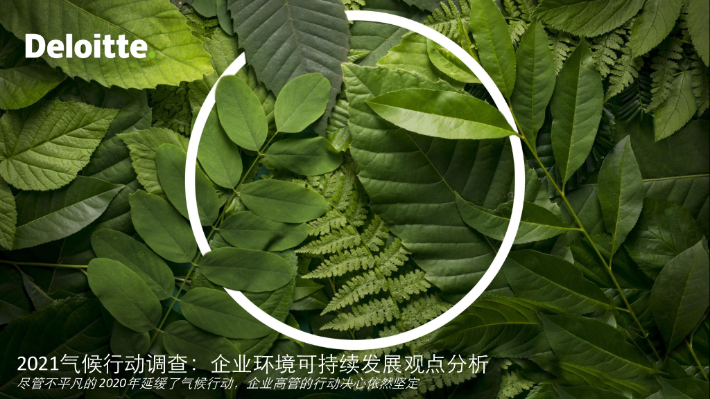 德勤：2021气候行动调查——企业环境可持续发展观点分析
