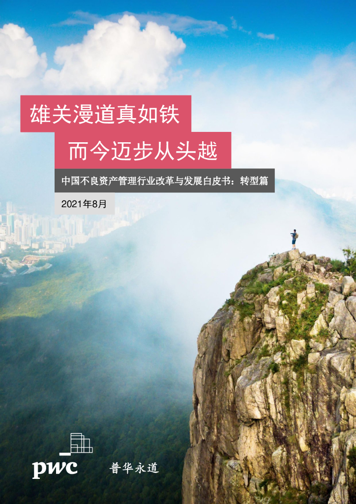 普华永道：中国不良资产管理行业改革与发展白皮书：转型篇