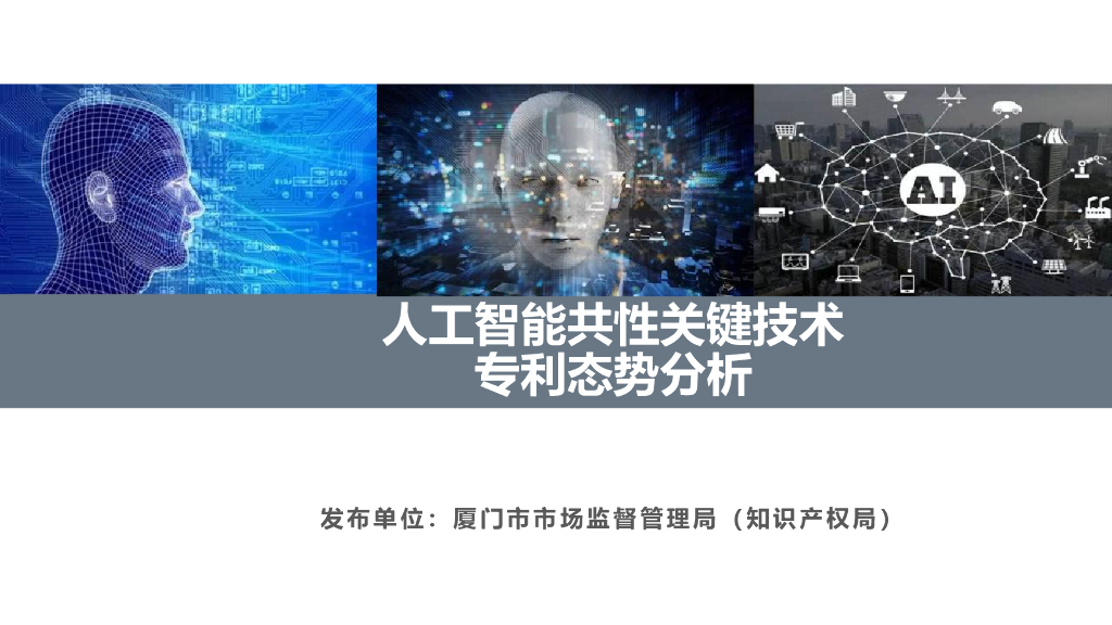 厦门市场监督管理局：人工智能共性关键技术专利态势分析