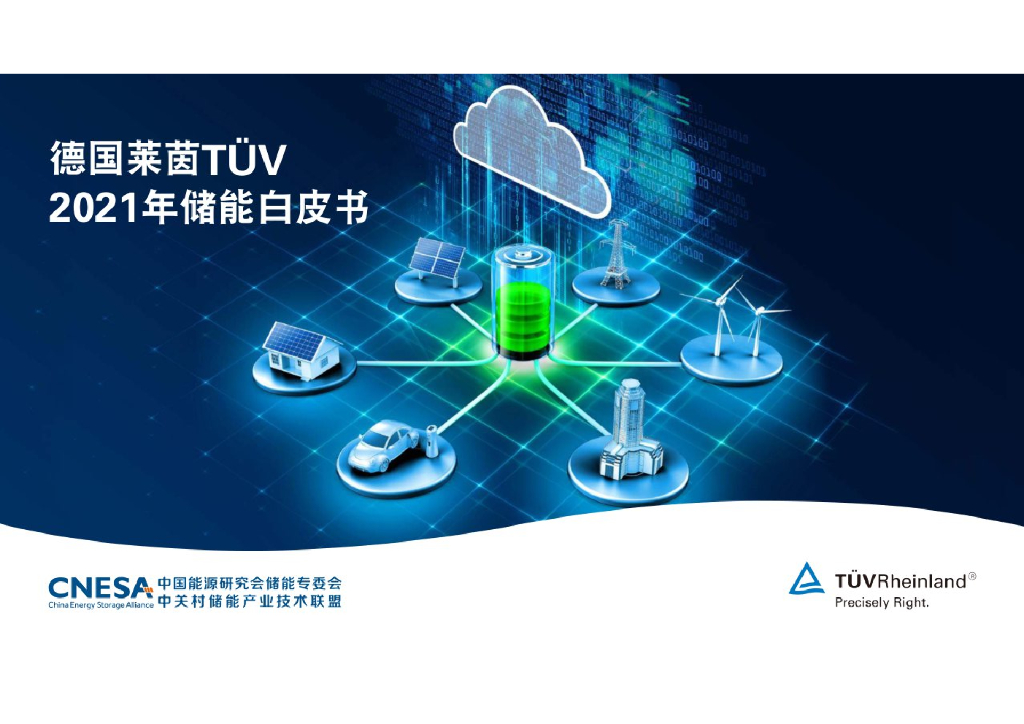 德国莱茵TÜV：<em>碳中和</em>愿景下2021年储能白皮书 海报