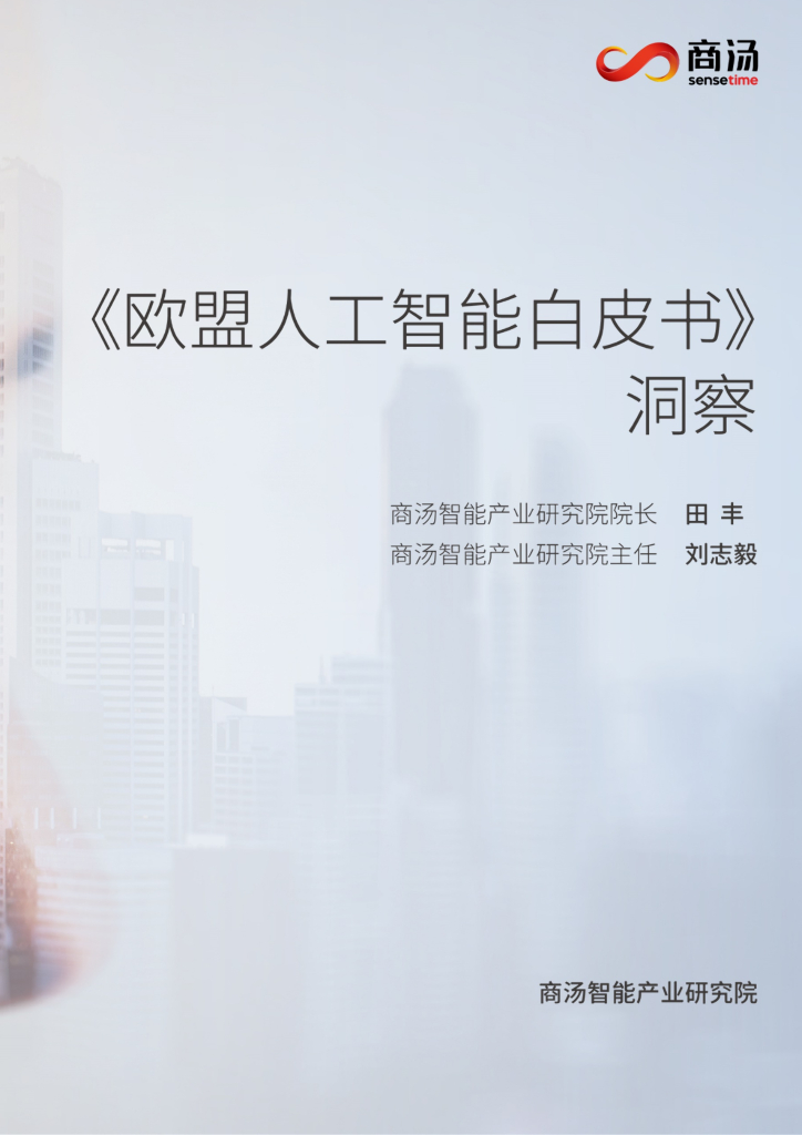 商汤智研院：《欧盟<em>人工智能</em>白皮书》洞察 海报