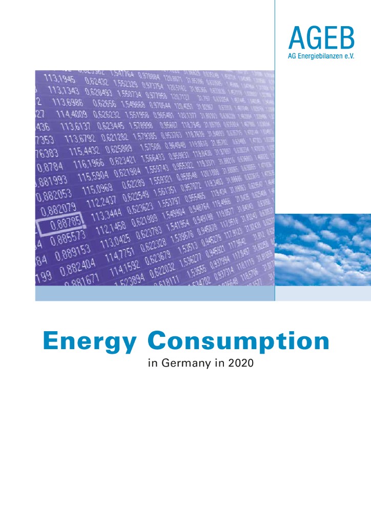 德国2020年能源消耗数据报告（英文版）