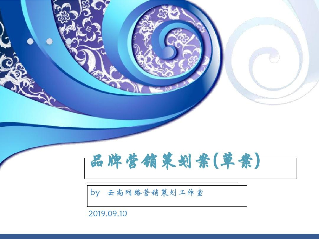 品牌营销策划案（草案）