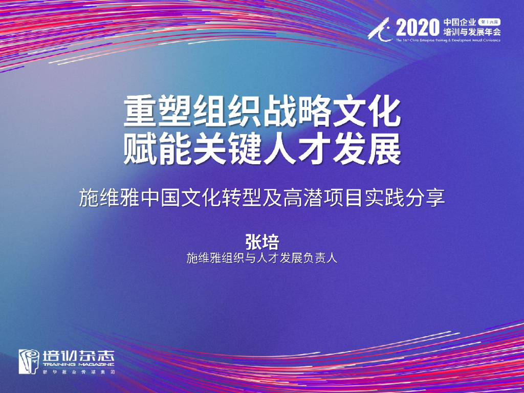 施维雅：重塑组织战略文化，赋能关键人才发展