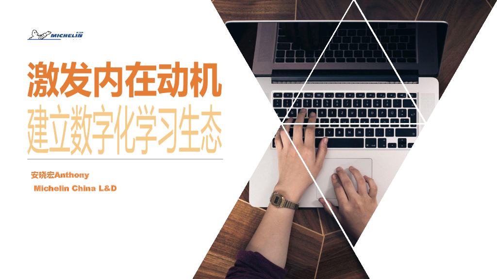 米其林：激发内在动机 建立数字化学习生态
