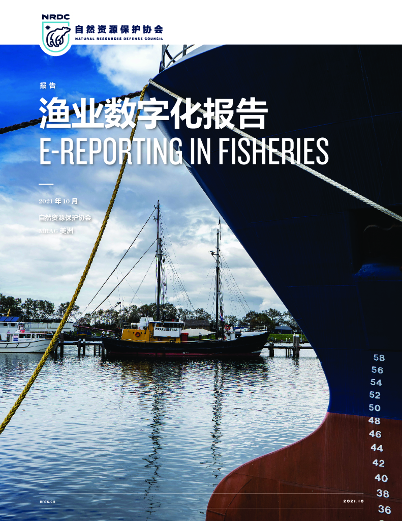 自然资源保护协会：渔业<em>数<em>字化</em></em>报告 海报