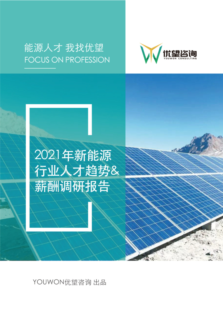 优望咨询：2021年新能源行业人才趋势&薪酬调研报告