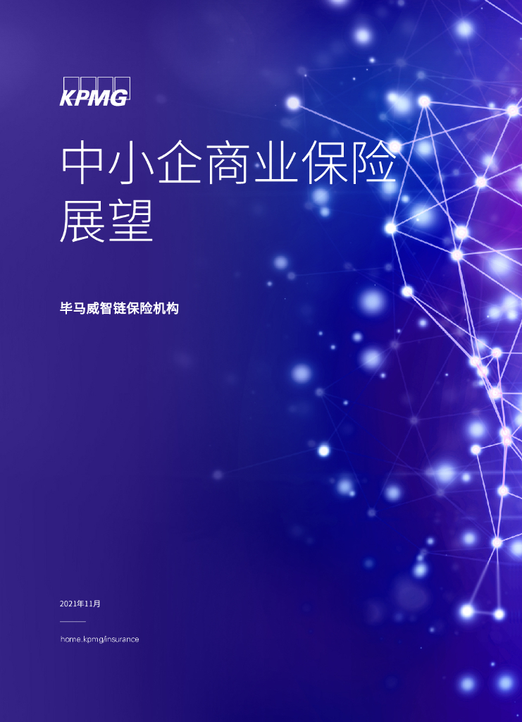 毕马威：中小企商业保险展望