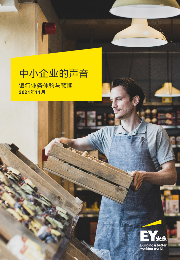 安永：中小企业的声音——银行业务体验与预期
