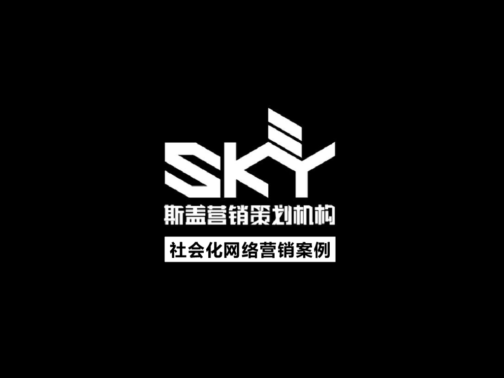 斯盖SKY房地产社会化网络营销案例分享