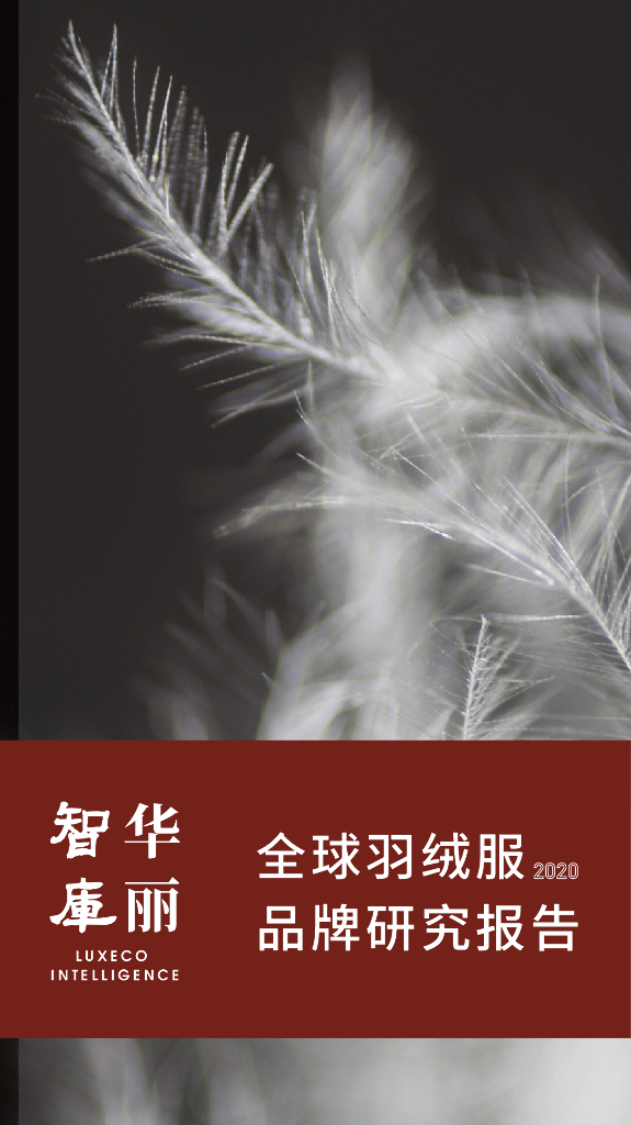   华丽智库：2020年全球羽绒服品牌研究报告