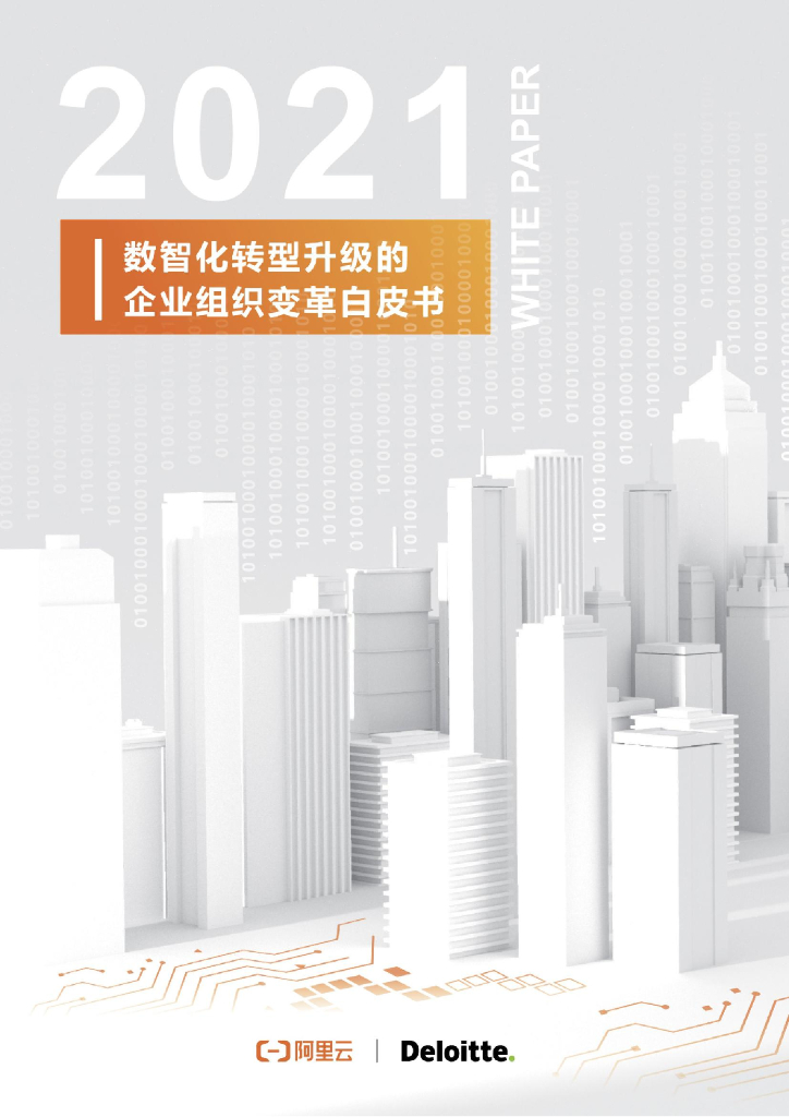 阿里云：2021数智化转型升级的企业组织变革白皮书