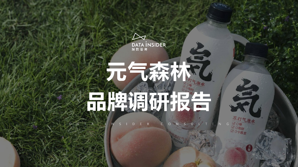 解数咨询：元气森林品牌调研报告