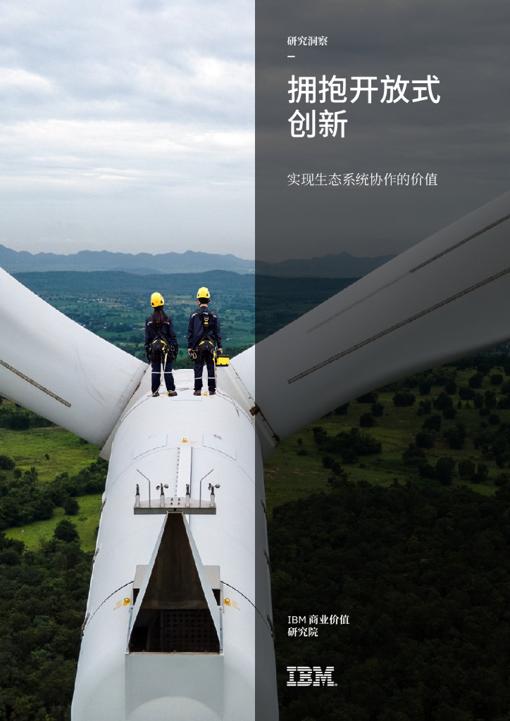 IBM商业价值研究院：拥抱开放式创新：实现生态系统协作的价值