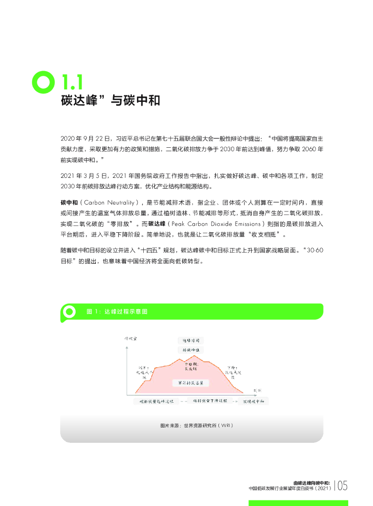 财新智库：由碳达峰向碳中和：中国低碳发展行业展望年度白皮书（2021）_第7页