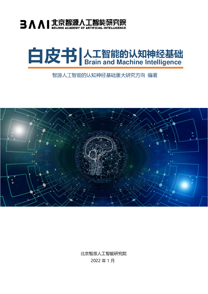 智源研究院：2021年<em>人工智能</em>的认知神经基础白皮书 海报