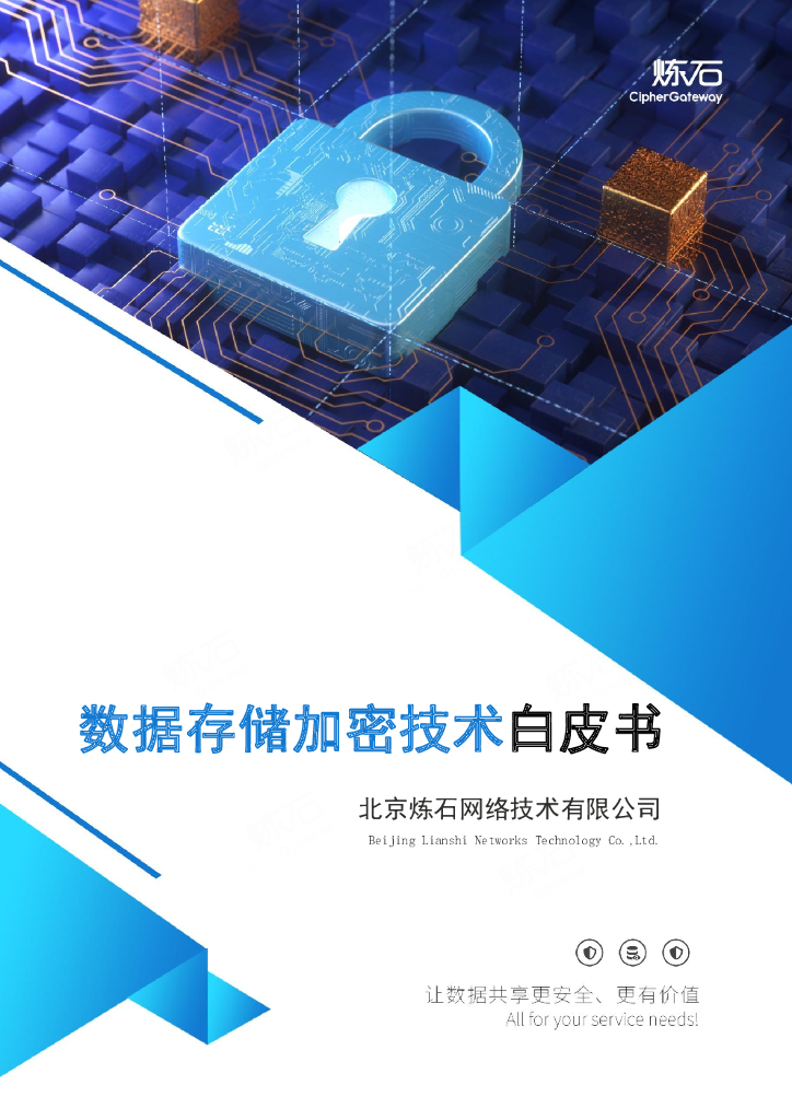 炼石网络：数据存储加密技术白皮书