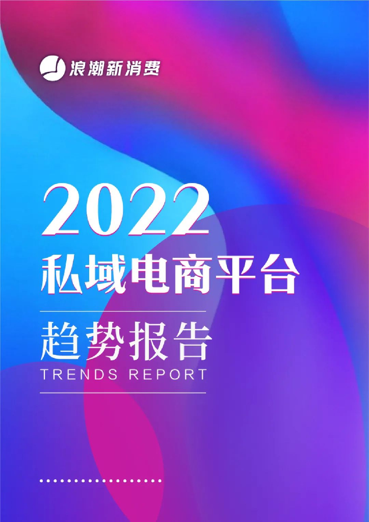 浪潮新消费：2022私域电商平台趋势报告