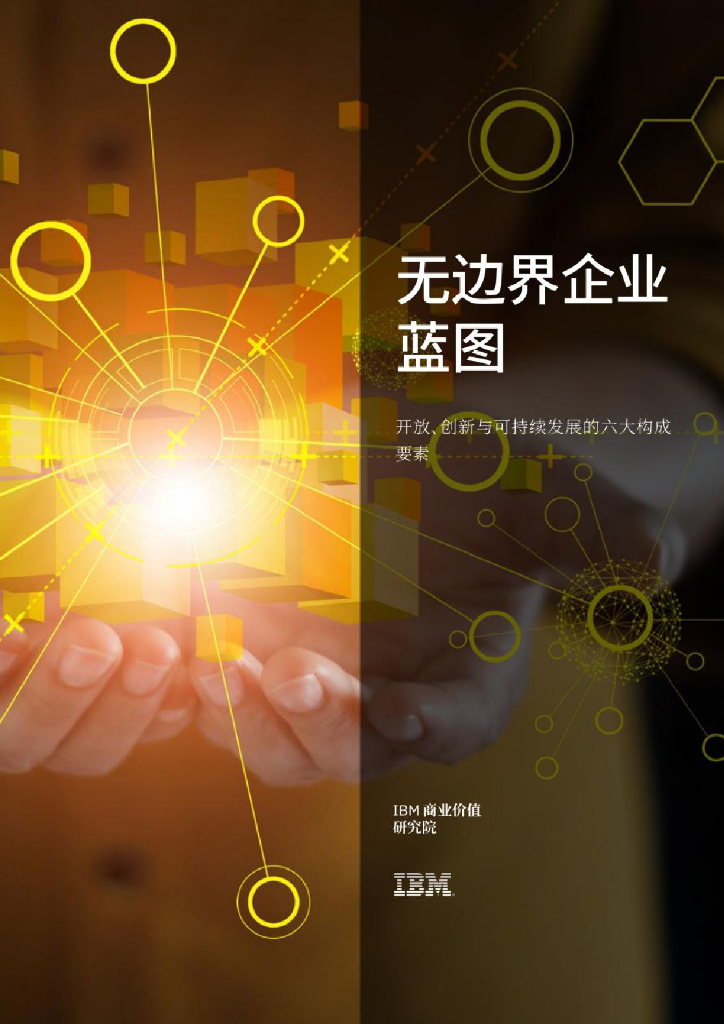 IBM 商业价值研究院：无边界企业蓝图：开放、创新与可持续发展的六大构成要素 海报