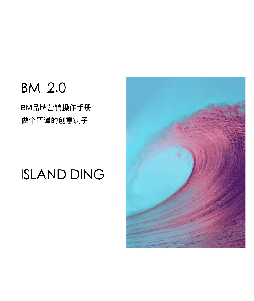 BM品牌营销操作手册：做个严谨的创意疯子