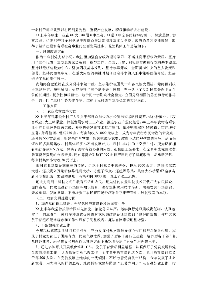 村支书年中总结2