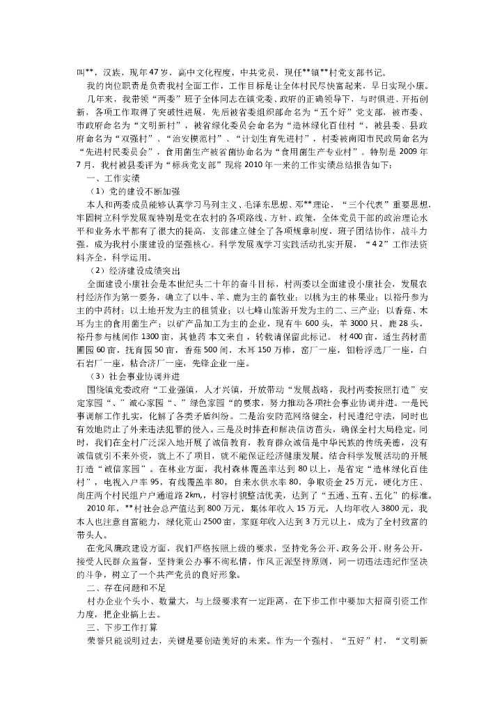 村支书年中总结3