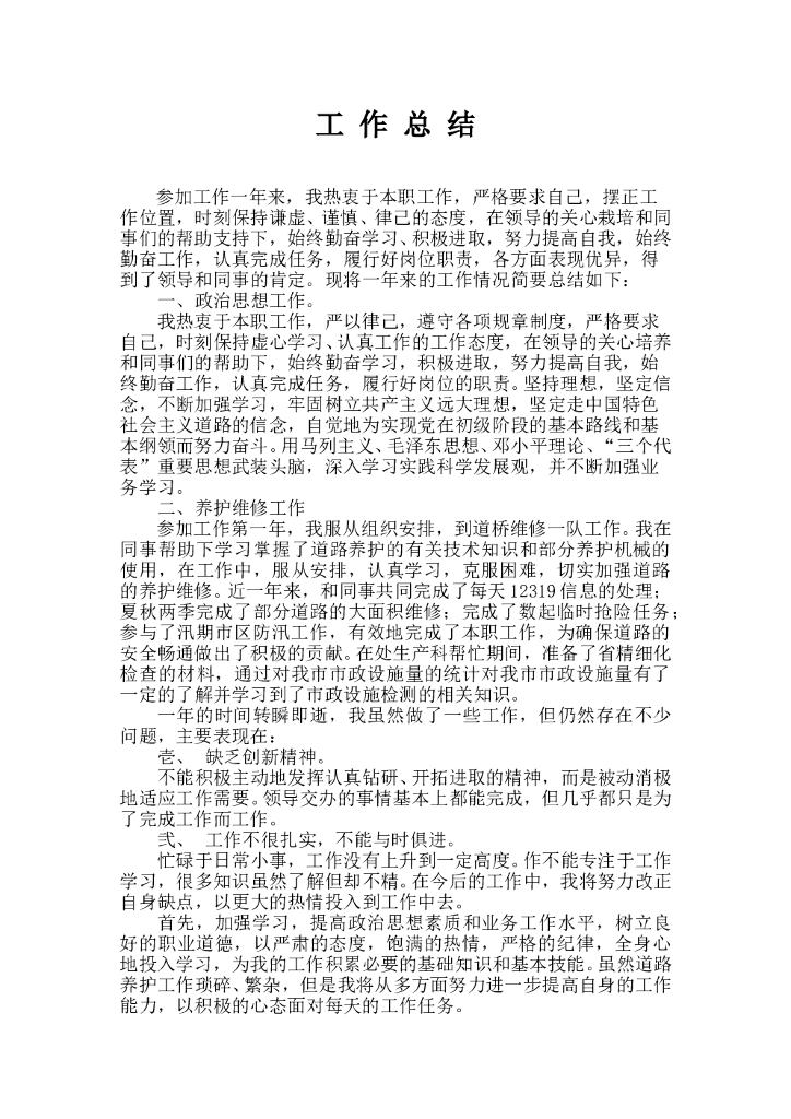 市政工作总结