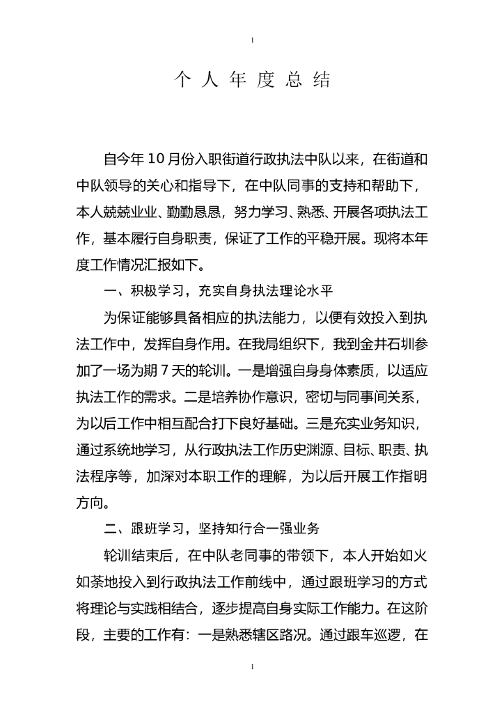 行政执法个人年度总结