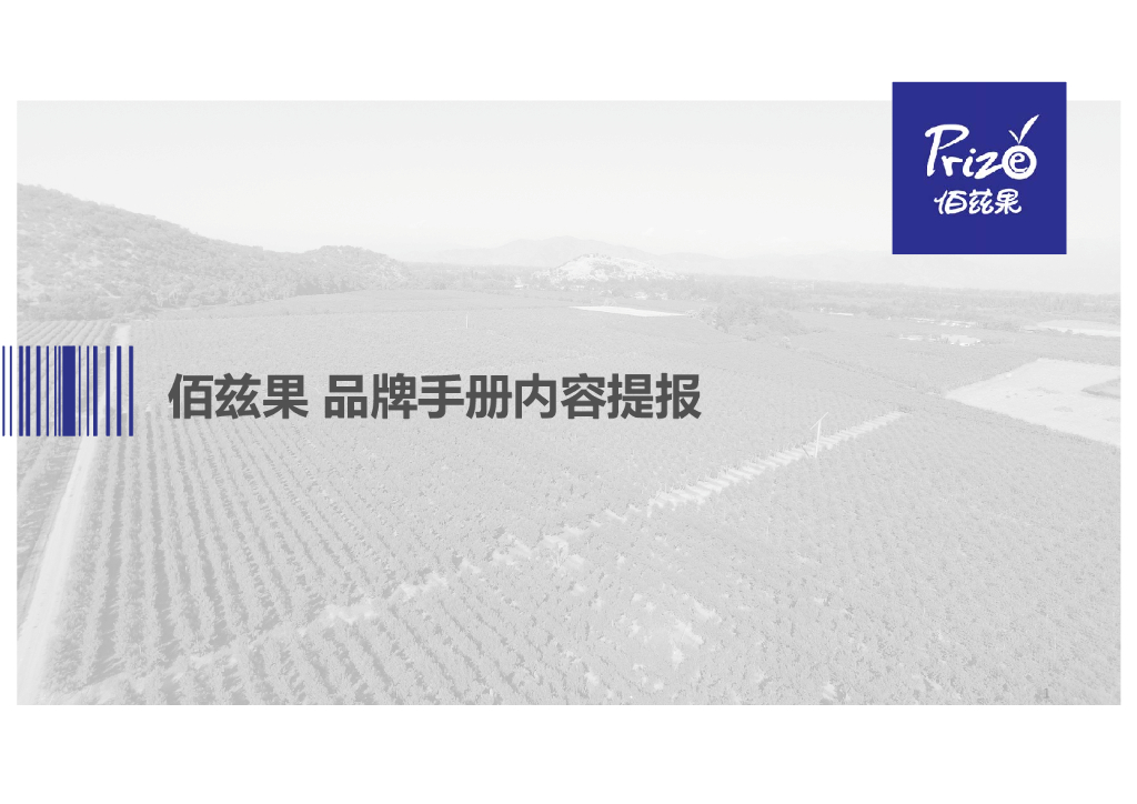 佰兹果品牌手册内容提报
