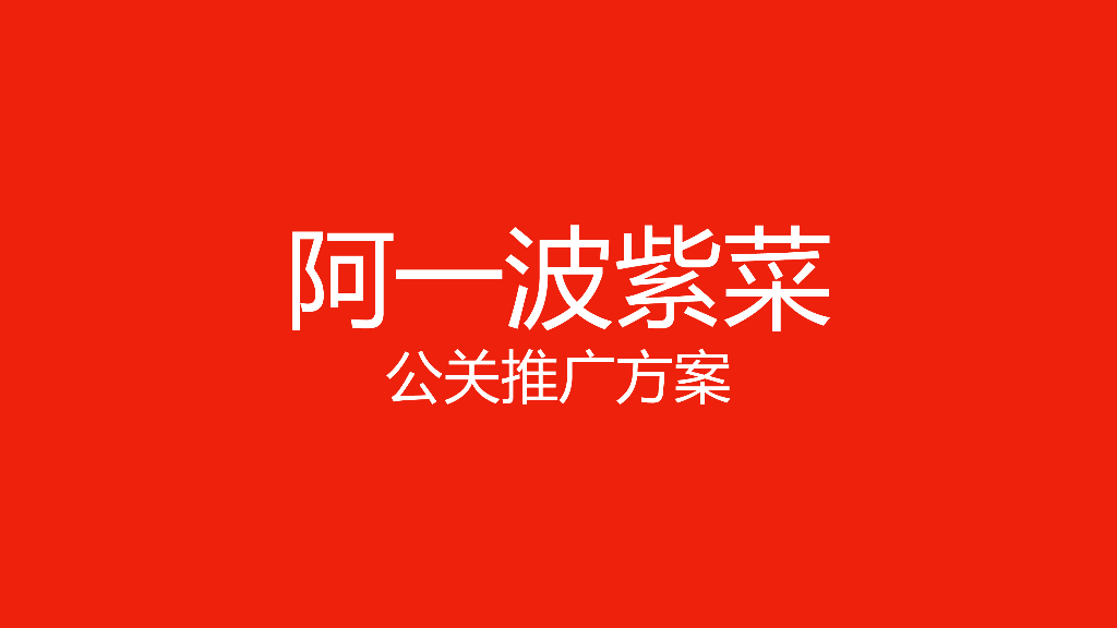 阿一波紫菜公关推广方案