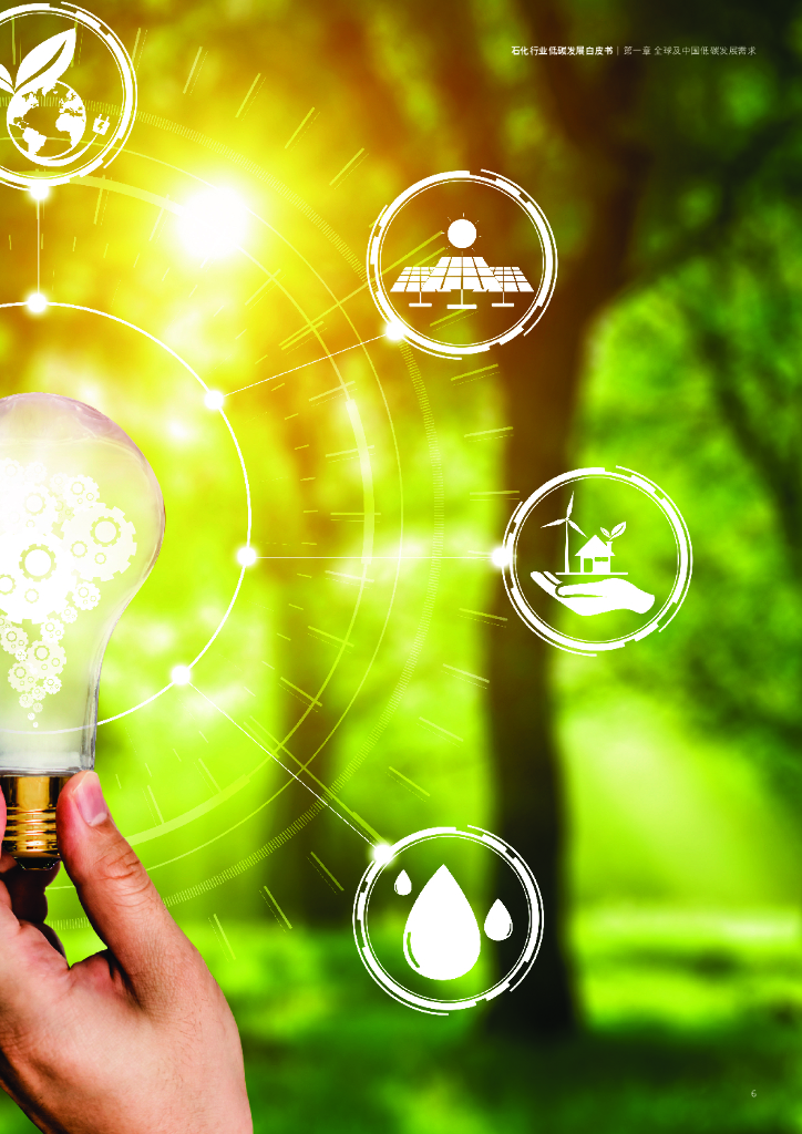 德勤：迈向2060碳中和——石化行业低碳发展白皮书_第7页