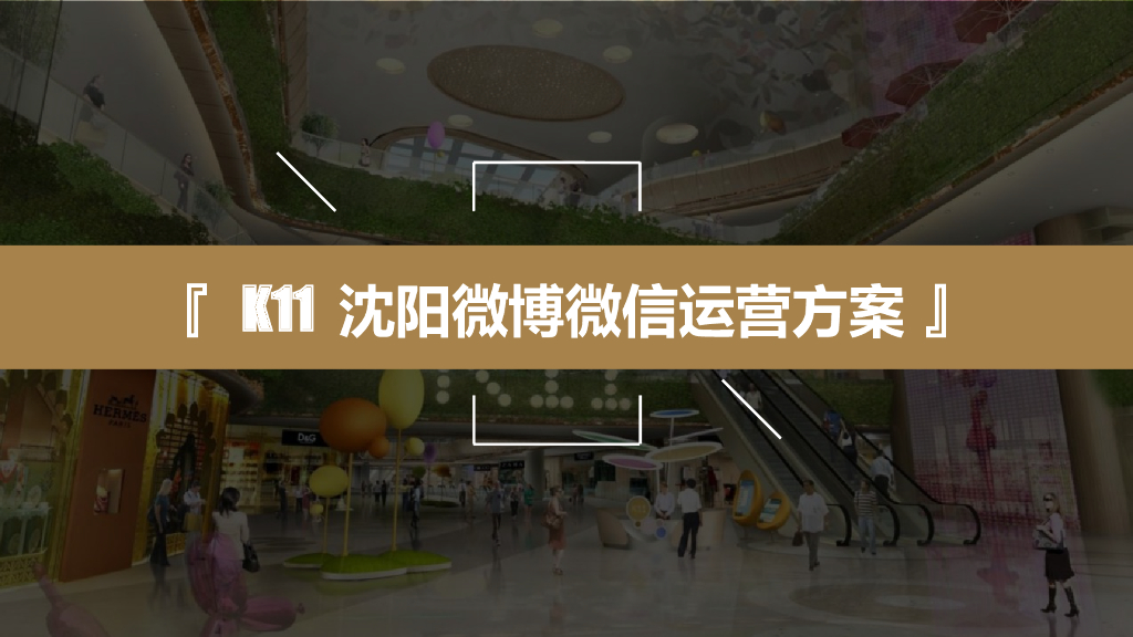 K11沈阳双微运营规划
