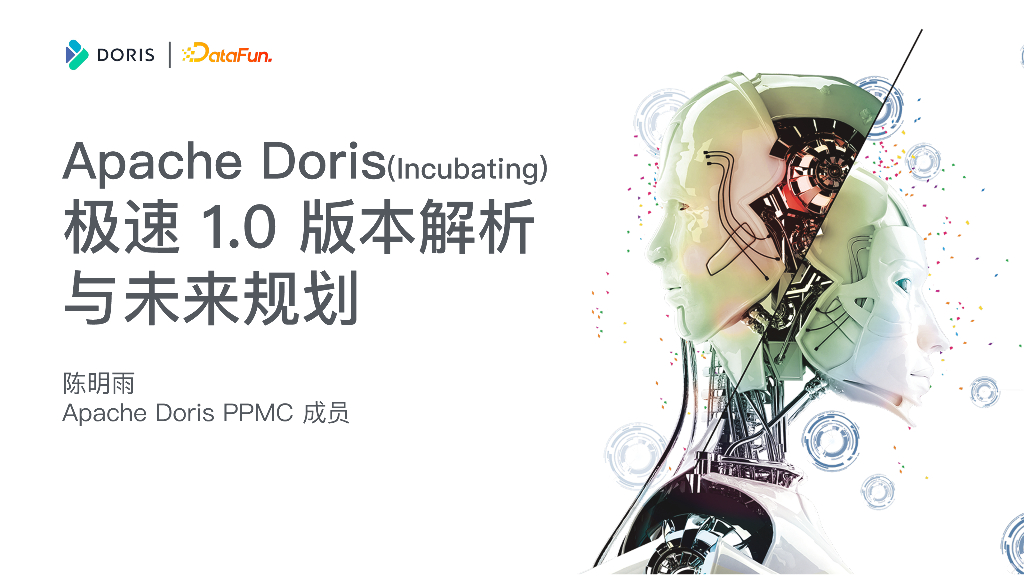 Apache Doris 极速1.0版本解析与未来规划