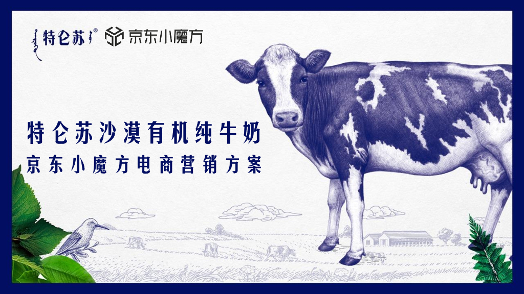 特仑苏 X 京东小魔方沙漠有机奶上市方案