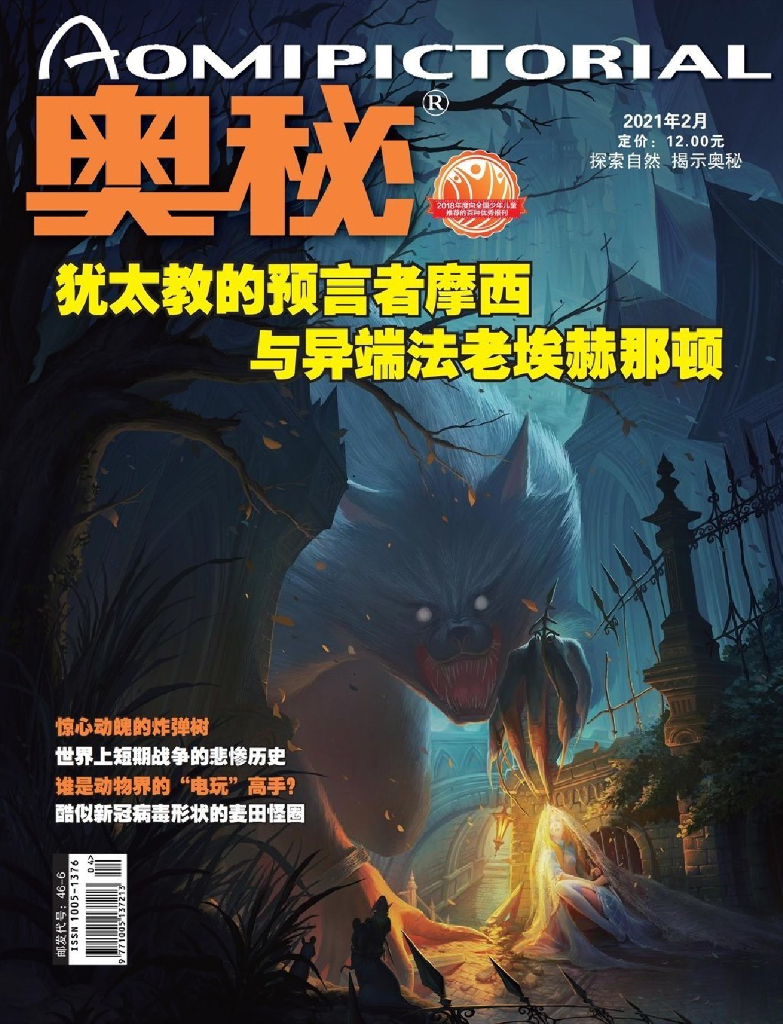 奥秘2021年2期