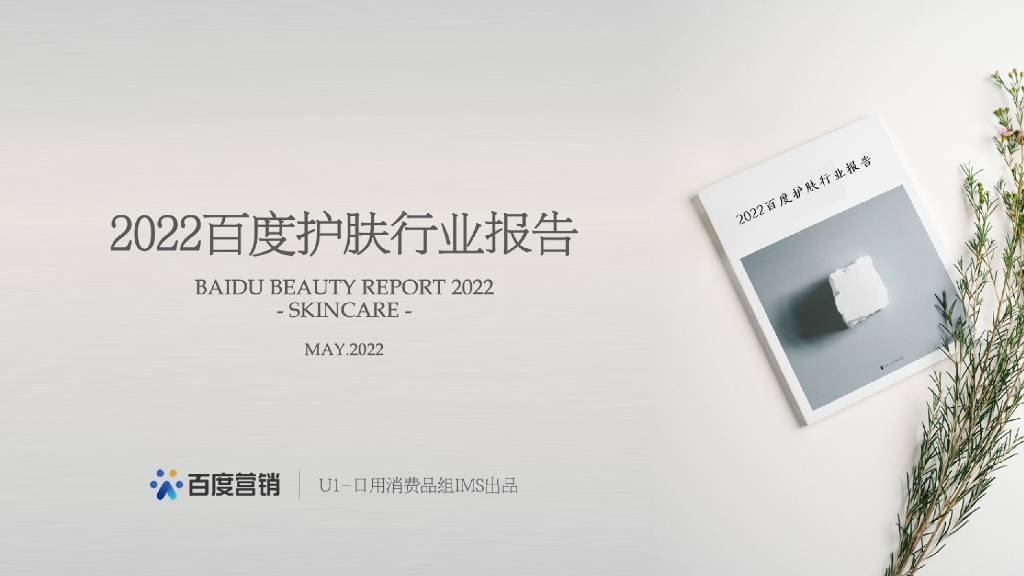 百度：2022百度护肤行业报告