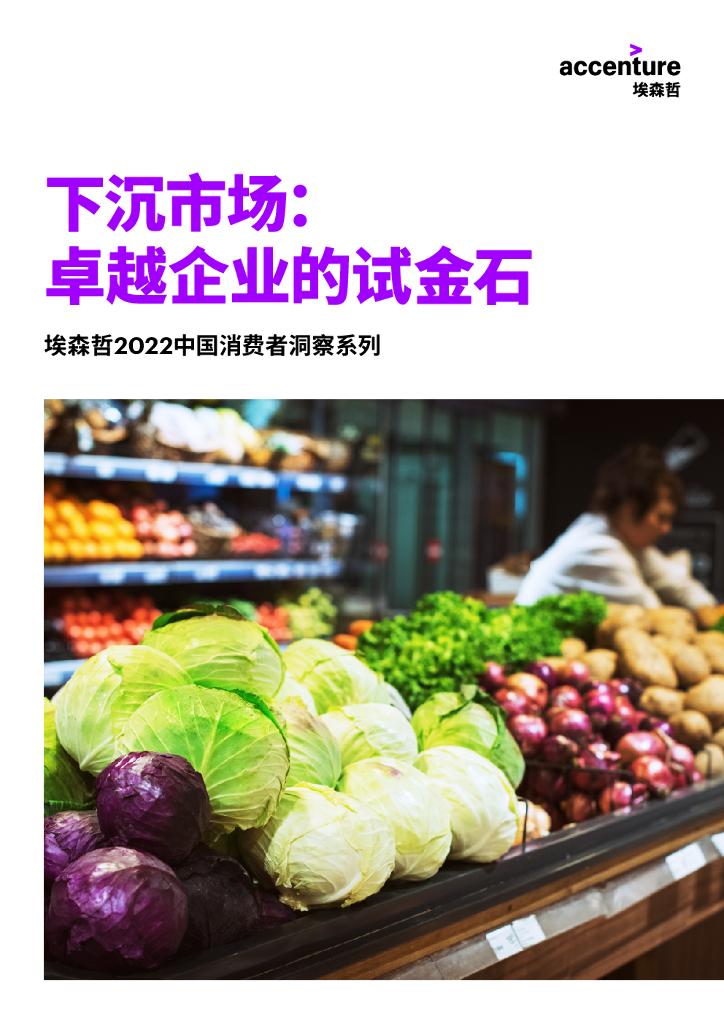 埃森哲：下沉市场：卓越企业的试金石——2022中国消费者洞察系列