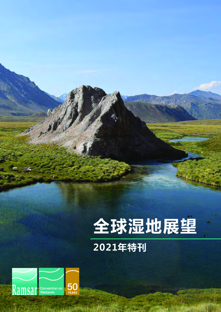 湿地公约：全球湿地展望：2021年特刊