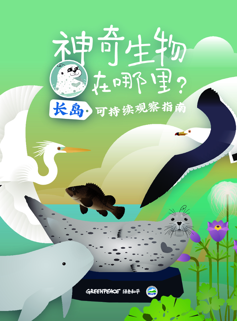 绿色和平组织：神奇生物在哪里——长岛可持续观察指南