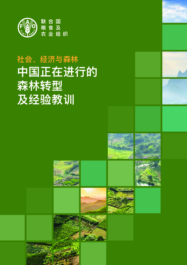 联合国粮农组织：社会、经济与森林：中国正在进行的森林转型及经验教训