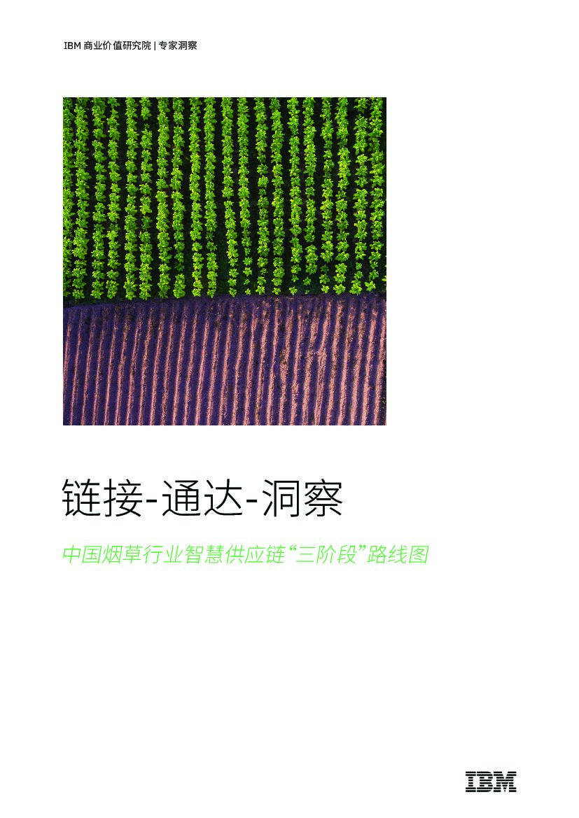 IBM：链接-通达-洞察：中国烟草行业智慧<em>供应链</em>“三阶段”路线图 海报