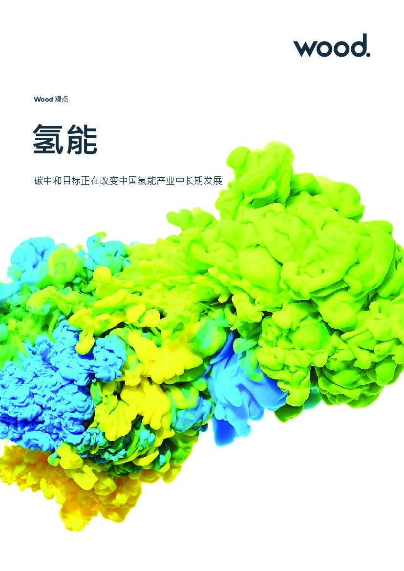 Wood观点：氢能：<em>碳中和</em>目标正在改变中国氢能产业中长期发展 海报