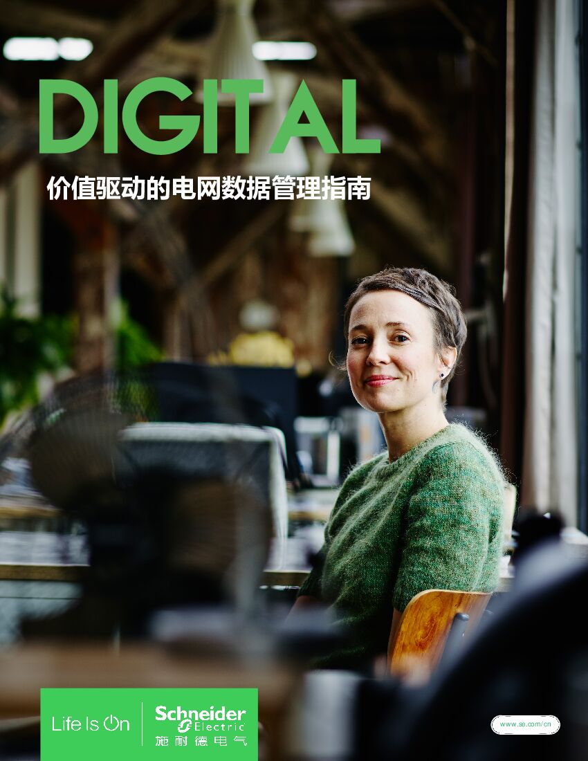 施耐德电气：价值驱动的电网数据管理指南