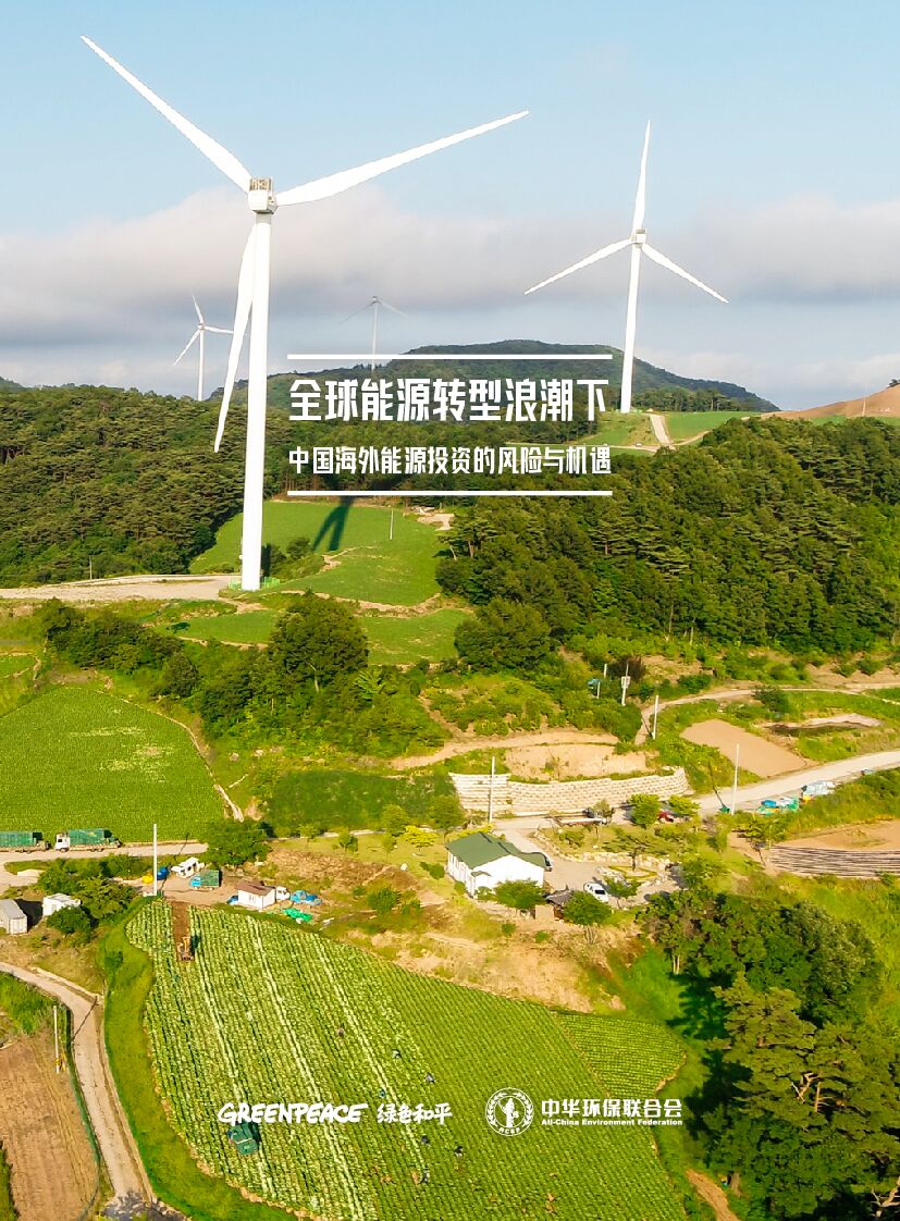 绿色和平：全球能源转型浪潮下，中国海外能源投资的风险与机遇