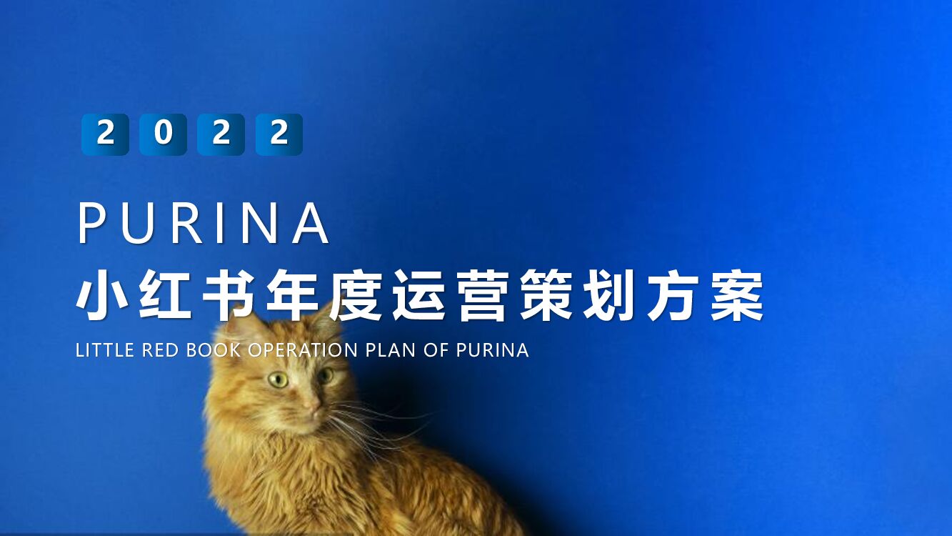 2022一线宠物粮食年度小红书传播运营规划方案