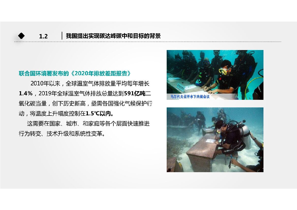 2021全面推动数字化转型，着力改善生态环境，奋力推动如期实现碳达峰碳中和目标_第10页