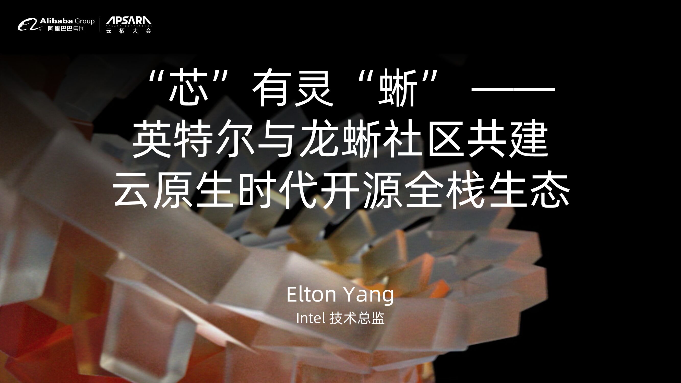 因特尔：“芯”有灵“蜥” —— 英特尔与龙蜥社区共建 云原生时代开源全栈生态