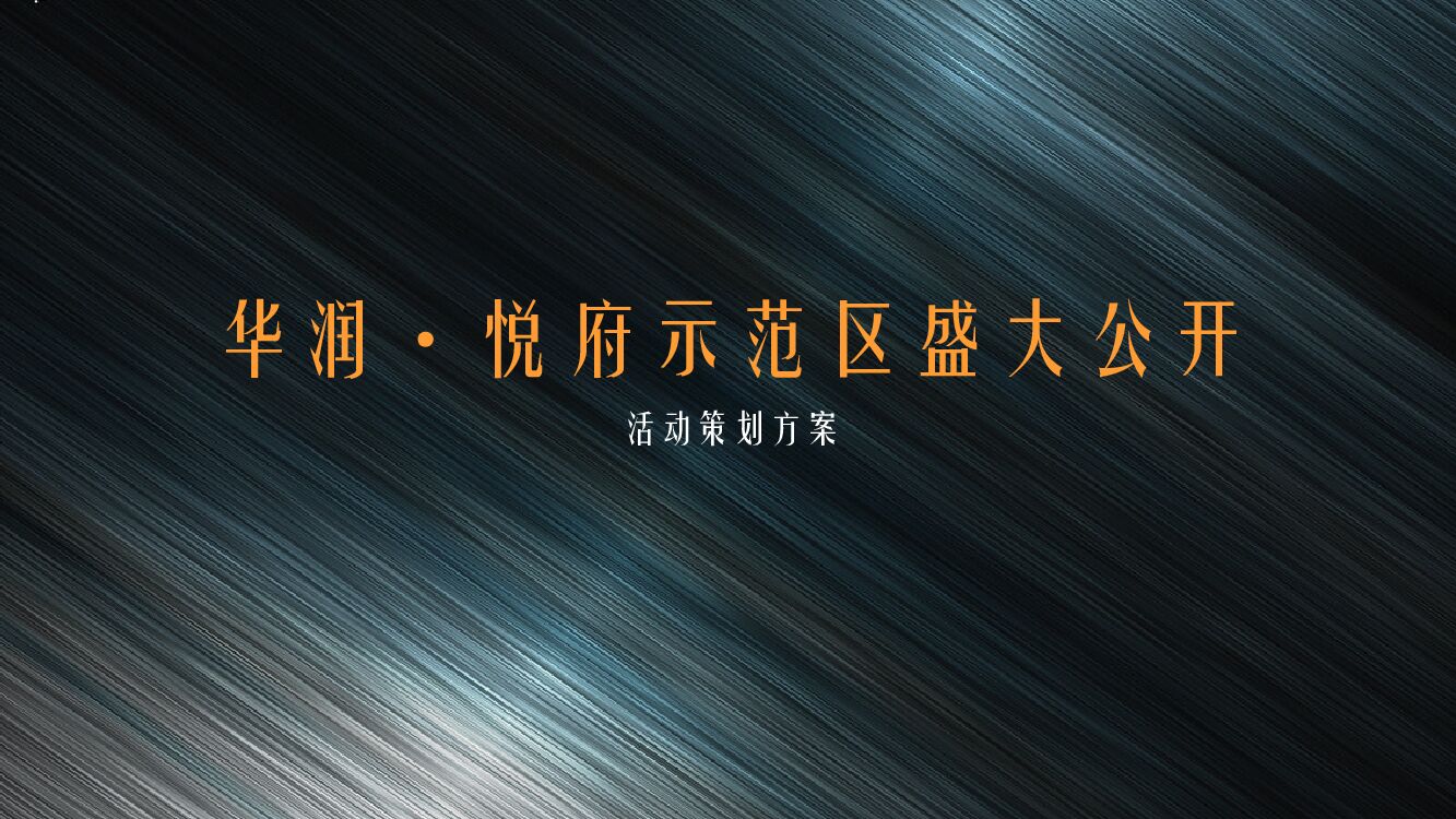 华润悦府示范区公开活动策划方案