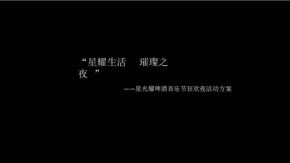 2013啤酒音乐节狂欢之夜活动提案
