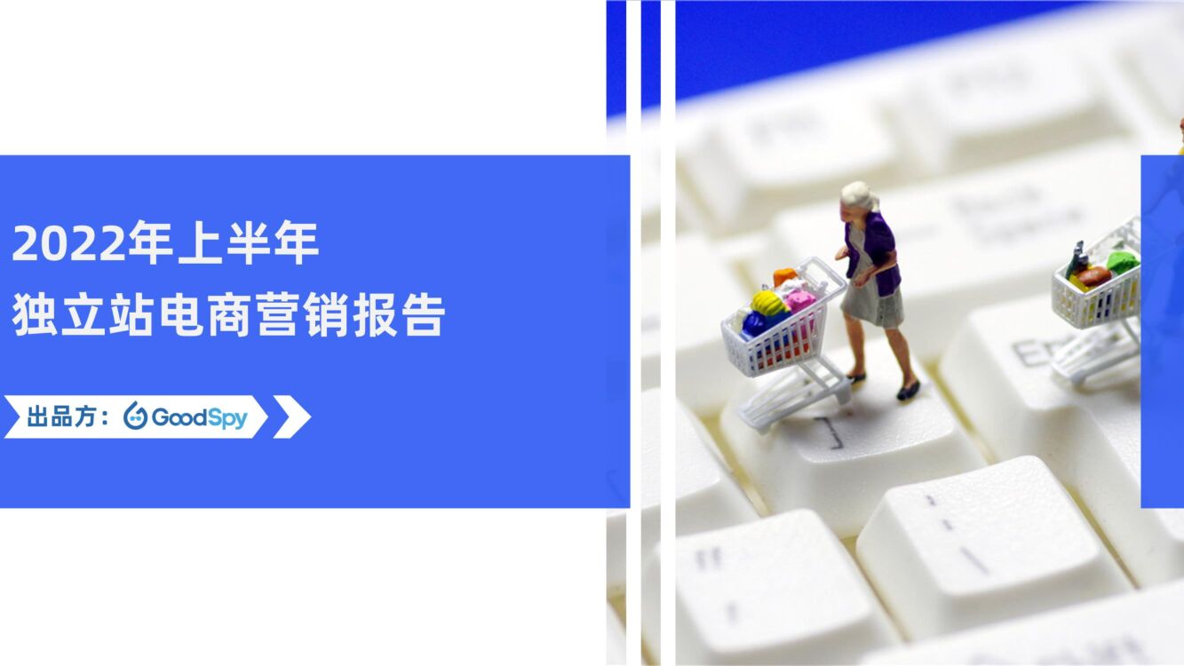 GoodSpy：2022年上半年独立站电商营销报告